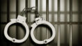 STF arrested four youth from Murshidabad in drug peddling case । Sangbad Pratidin