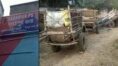 Police seized coal from bullock cart in Birbhum । Sangbad Pratidin
