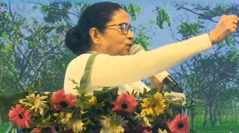 ১০০ দিনের কাজ খতিয়ে দেখতে রাজ্যে ফের কেন্দ্রীয় দল, কড়া ভাষায় তোপ ‘বিরক্ত’ মমতার