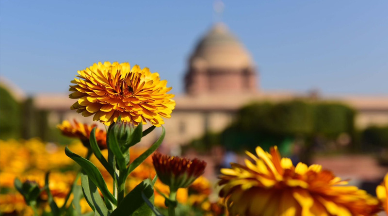 Rashtrapati Bhavan's Mughal Gardens renamed as Amrit Udyan | Sangbad Pratidin
