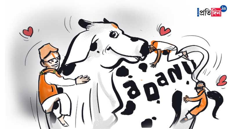Goutam Adani is holy cow for BJP, says Sanjay Raut on cow hug day notice of Centre | Sangbad Pratidin