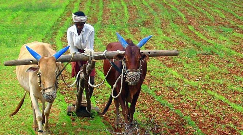 No proposal to tax agricultural income, says finance ministry | Sangbad Pratidin