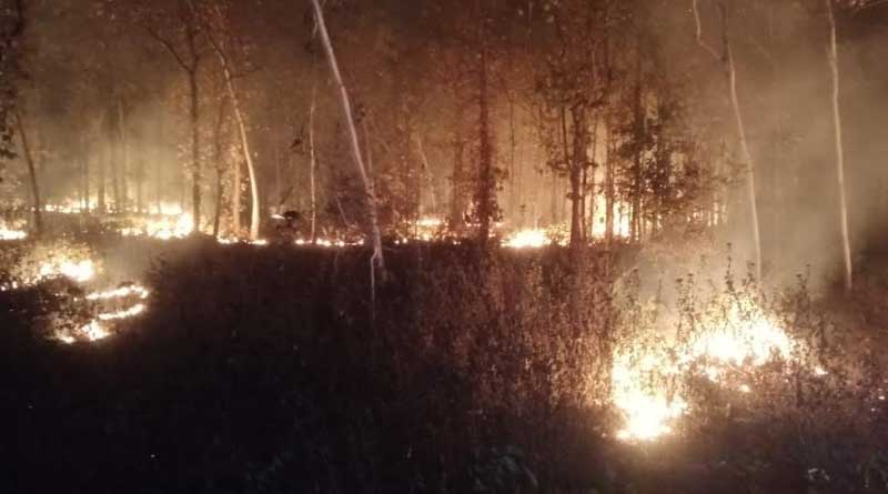 Massive fire in a forest in Midnapore | Sangbad Pratidin