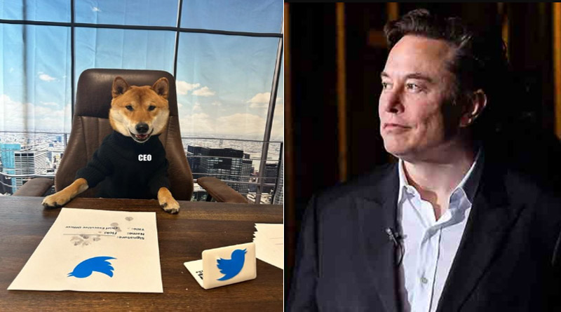 Elon Musk introduces new Twitter CEO। Sangbad Pratidin