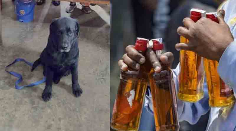 RPF Dog helps to arrest lady liquor smuggler at Howrah Station | Sangbad Pratidin