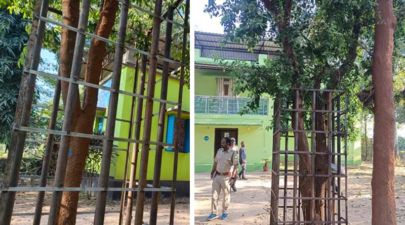 Sandalwood trees are surrounded by Iron cage in Purulia to stop being theft | Sangbad Pratidin