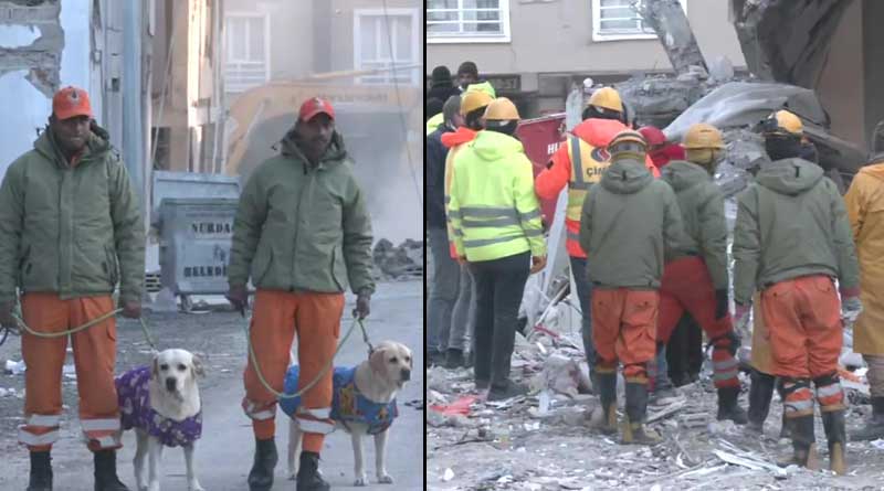 Turkey Earthquake: Sniffer dogs of NDRF, Julie and Romeo become 'hero' to save 6 years old girl in Turkey | Sangbad Pratidin