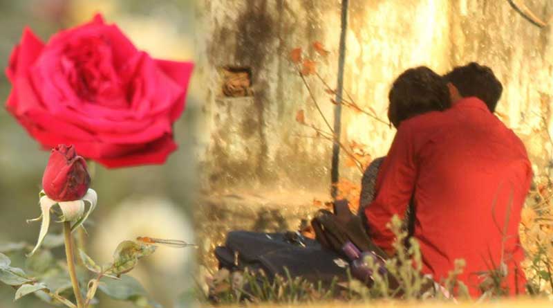 Rose price hike ahead of Valentines day | Sangbad Pratidin