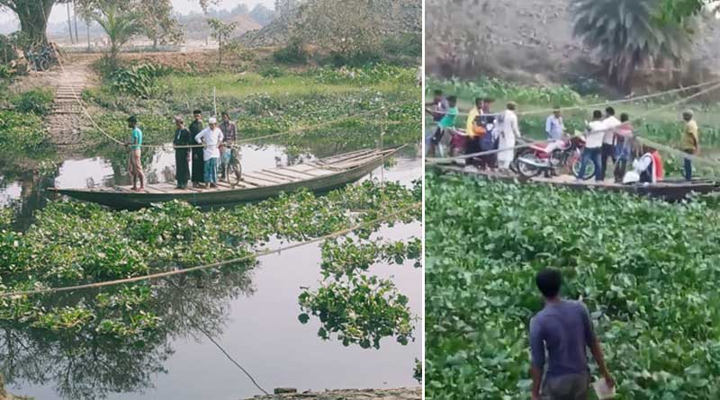 Locals of 24 parganas using root bridge to cross river, demands concrete bridge | Sangbad Pratidin