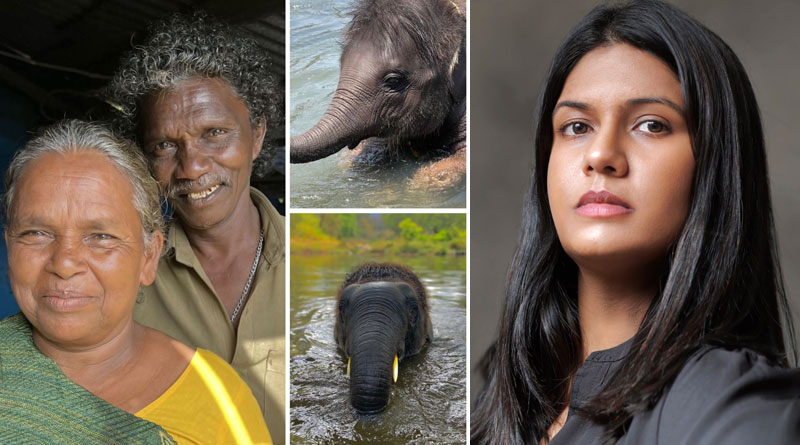 Kartiki Gonsalves Refutes this Claims 'Bomman & Bellie of The Elephant Whisperers | Sangbad Pratidin