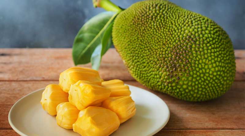 Know some tips to cultivate jackfruits | Sangbad Pratidin