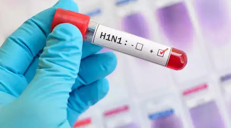 H1N1, H3N2, swine flu virus cases hikes in country, health department worried | Sangbad Pratidin