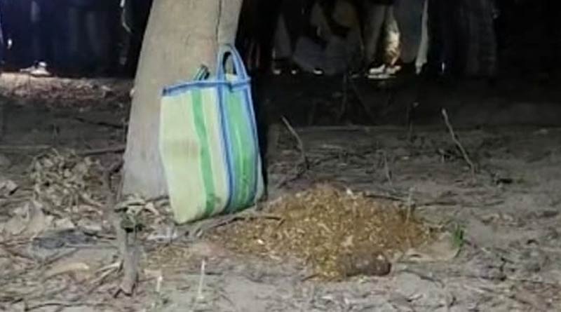Bag