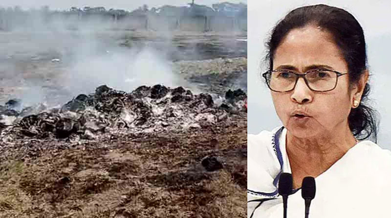 ‘সিবিআইয়ের প্ল্যান হতে পারে’, ভাঙড়ে নথি পোড়ানোর নেপথ্যে ষড়যন্ত্রের গন্ধ পাচ্ছেন মমতা