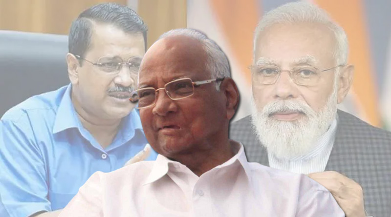 Are These Issues? Focus On Important Things, Now Sharad Pawar On Degree Row | Sangbad Pratidin