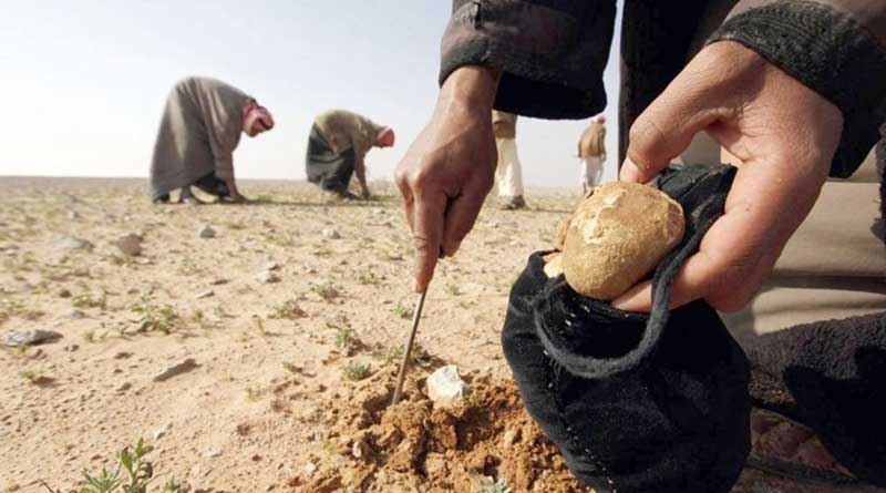 Atleast 31 people killed by ISIS while collecting food into the desert | Sangbad Pratidin