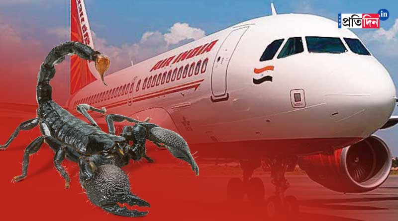 Scorpion stings woman passenger on Air India flight | Sangbad Pratidin