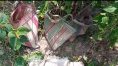 Lots of Bomb Found in Birbhum and Murshidabad | Sangbad Pratidin