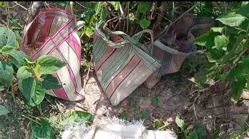 Lots of Bomb Found in Birbhum and Murshidabad | Sangbad Pratidin