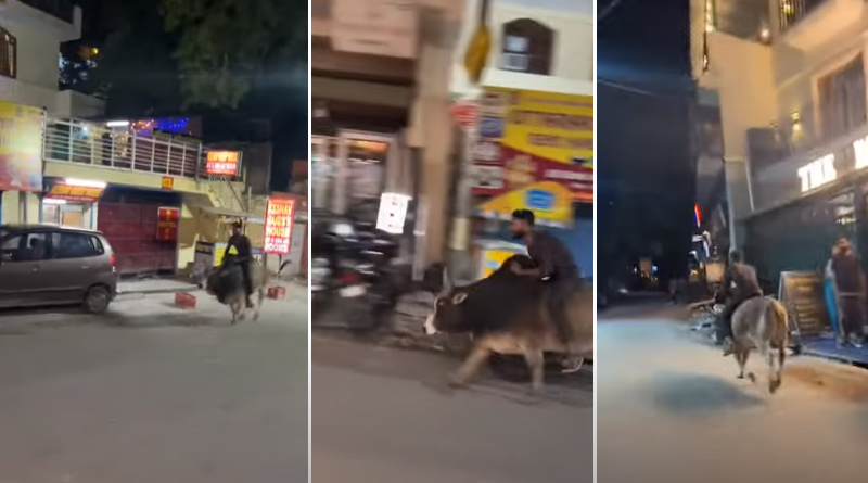Man Riding Bull On The Streets of Rishikesh, video went viral | Sangbad Pratidin