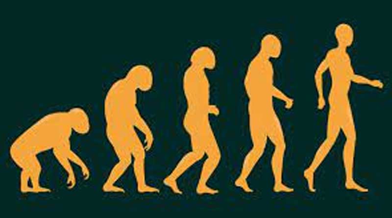 The decline of Darwinism in America | Sangbad Pratidin