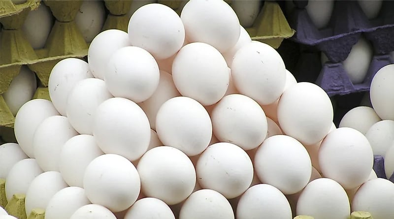 Now Sri Lanka to import 1 million eggs daily from India to meet market demand | Sangbad Pratidin
