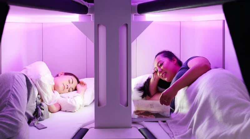 Air New Zealand to rent bunk beds to economy passengers। Sangbad Pratidin