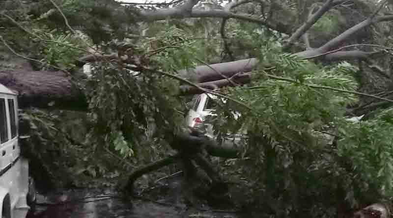 3 dead in storm, trees uprooted in Bardhaman and Murshidabad | Sangbad Pratidin