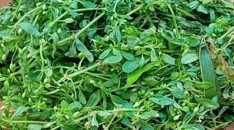 Qualities of leafy green vegetables । Sangbad Pratidin