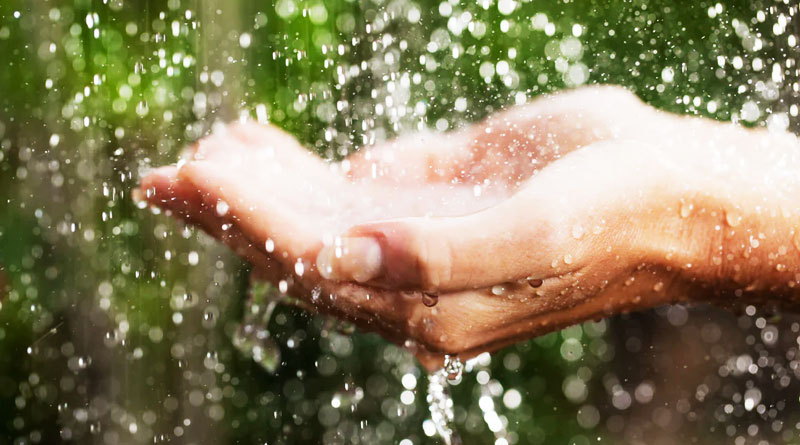 Ayurveda recommends drinking rainwater | Sangbad Pratidin