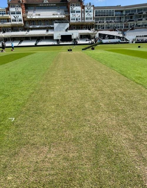World Test Championship Final: The Oval pitch looks like a green top