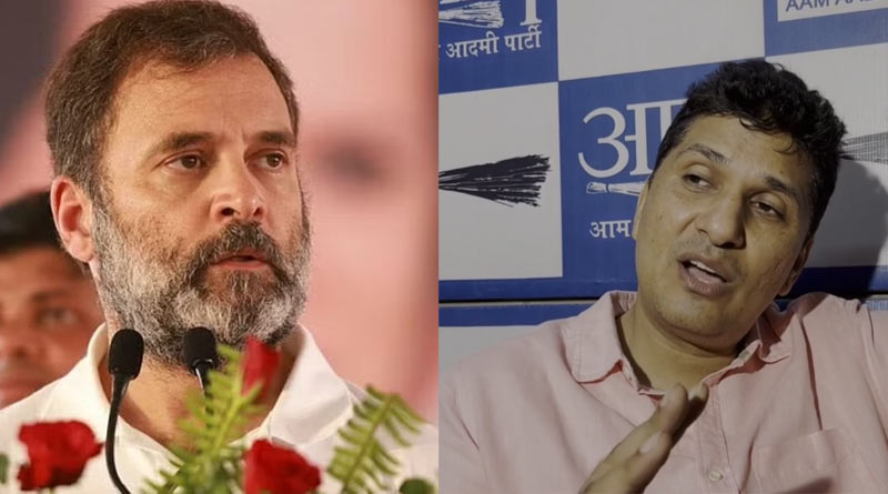 ‘বিরোধীদের প্রতি ভালবাসা নেই?’, রাহুল গান্ধীর ‘মহব্বত কি দুকান’ মন্তব্য নিয়ে খোঁচা আপের