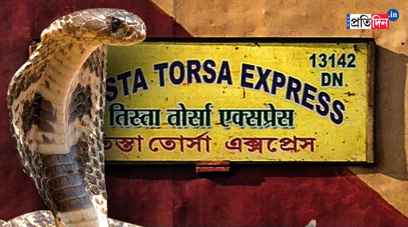 Cobra seen at Tista Torsha Express, stopped for one hour in midway, passengers frightened | Sangbad Pratidin