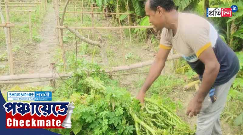 WB Panchayat Poll 2023:  বিজেপি কর্মীদের খাবার সরবরাহ! ফসল নষ্ট করে কৃষককে ‘শাস্তি’ TMC’র