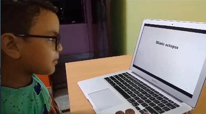 মাত্র ৬ বছরেই ঠোঁটস্থ প্রায় দুশো সামুদ্রিক প্রাণীর নাম! এশিয়া বুক অফ রেকর্ডসে দুর্গাপুরের খুদে