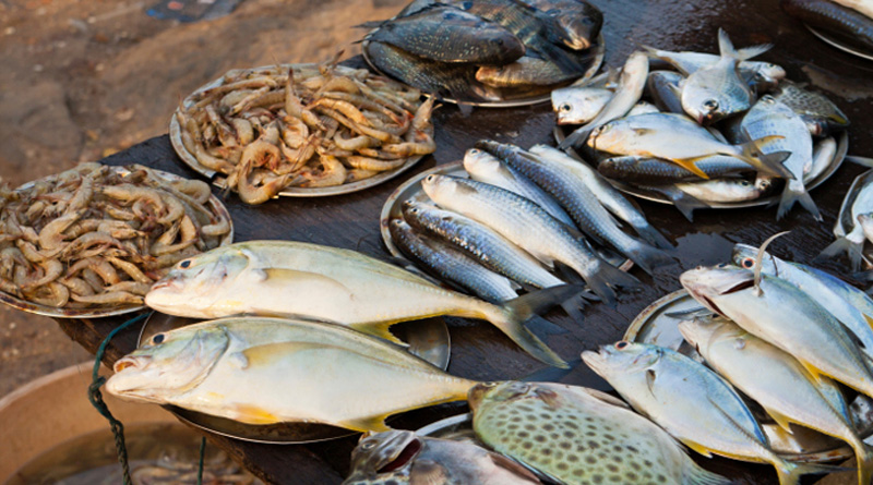 Now Fish Market price Hike in Kolkata and Rest of Bengal | Sangbad Pratidin