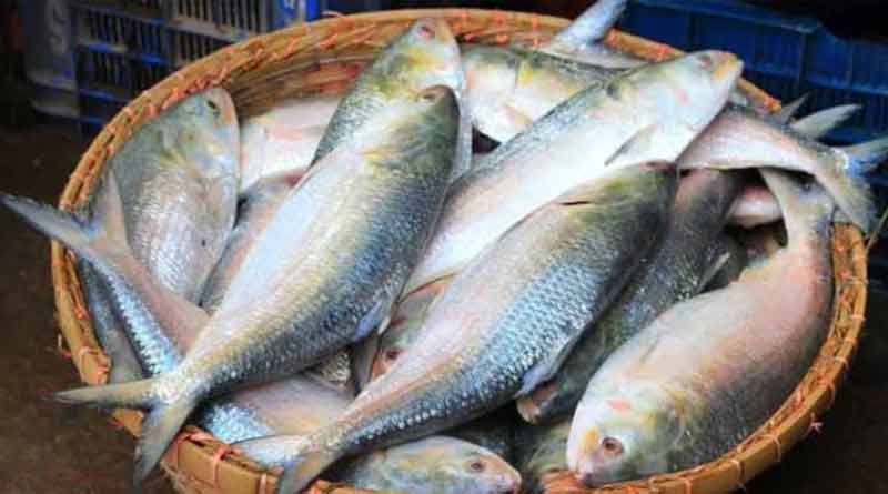 Bangladesh bans Hilsa fishing | Sangbad Pratidin