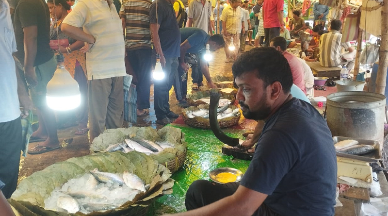 Exclusive: Danger increases for Hilsa, and its taste is also deteriorating. Here is Details 3