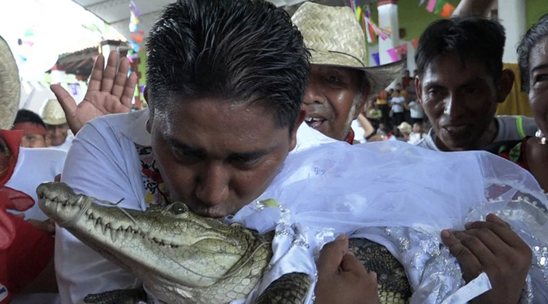Mexican mayor gets married to crocodile। Sangbad Pratidin