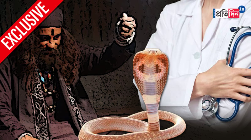 Exclusive: Breaking the myth about Snake Bites, Binding increases the possibility of death! what to do to save life | Sangbad Pratidin