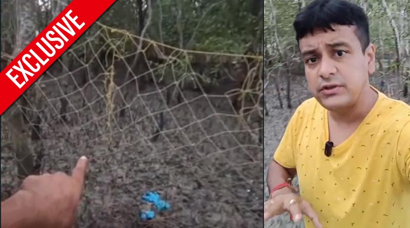 Vlogger enters restricted area of Sunderban jungle, stirs controversy | Sangbad Pratidin
