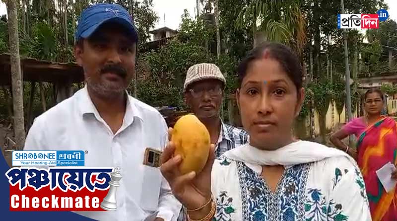 Panchayat Poll: তৃণমূল টিকিট না দেওয়ায় নির্দল হয়ে ভোটের ময়দানে, প্রতীক ‘আম’ হাতে নিয়ে প্রচারে প্রার্থী