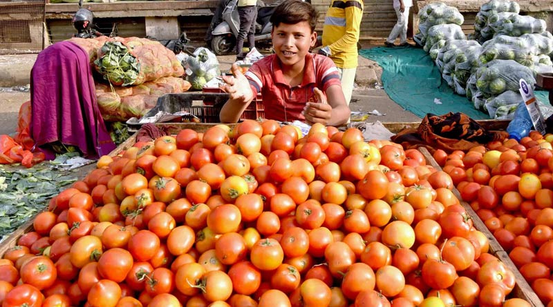Tomatoes to be sold at Rs 50 per kg from August 15: Centre | Sangbad Pratidin