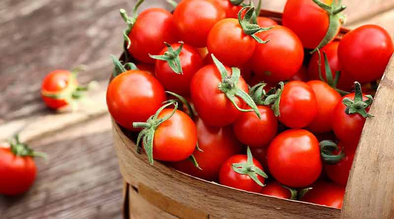 Modi Govt to sell Tomato Rs 40 Per Kg | Sangbad Pratidin