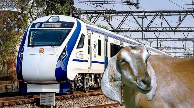 পোষা ছাগলদের পিষে মেরেছে! প্রতিশোধ নিতে বন্দে ভারতে পাথর ছুঁড়ে গ্রেপ্তার ৩