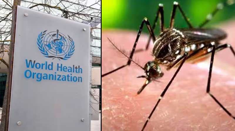 WHO expresses concern on Dengue spreading wildely in Bangladesh | Sangbad Pratidin