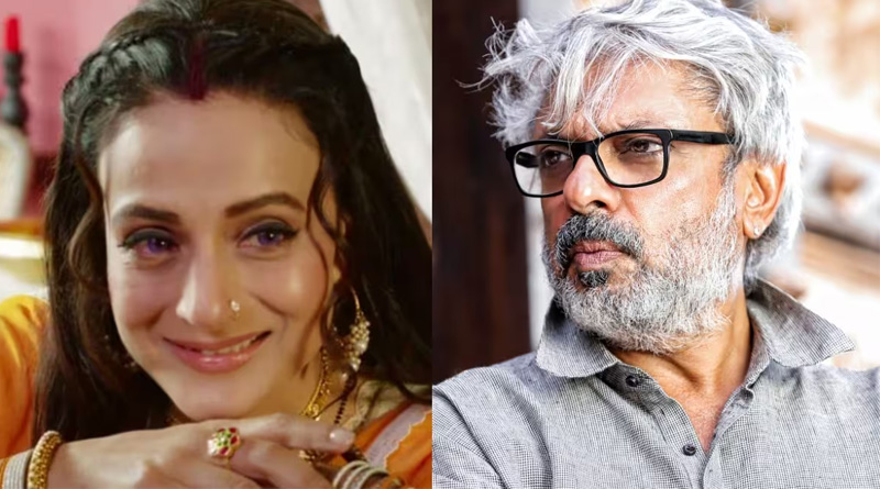 ‘তুমি অবসর নাও!’ ‘গদর’ দেখে আমিশাকে পরামর্শ সঞ্জয় লীলা বনশালির