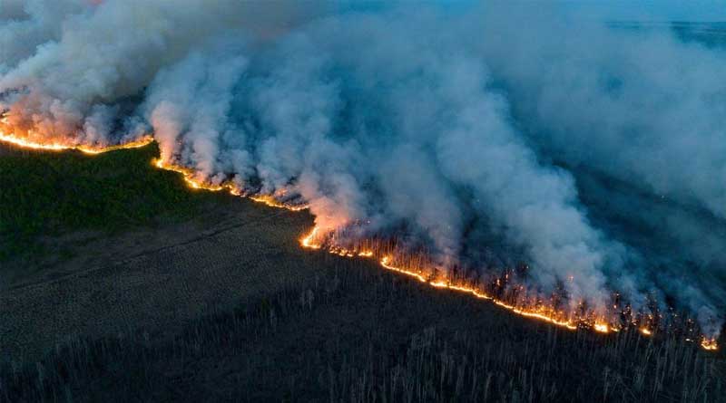 Why is Meta blocking Canada wildfire news links | Sangbad Pratidin