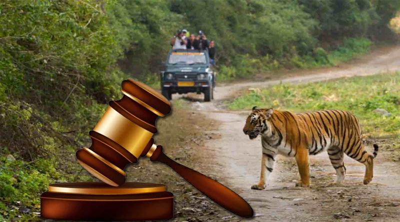 Uttarakhand High Court ask Why not CBI inquiry on Felling of 6000 trees in Jim Corbett Park | Sangbad Pratidin