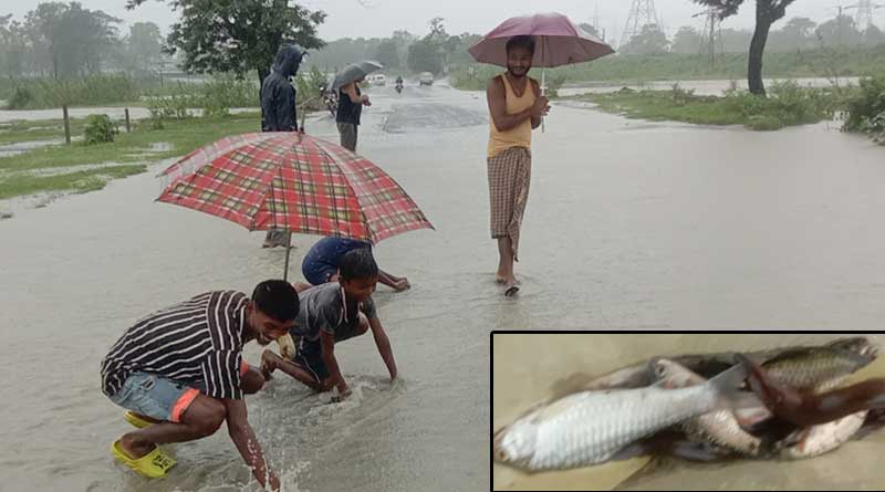 River flows overNH 31, locals are busy fishing on the way in Dooars | Sangbad Pratidin